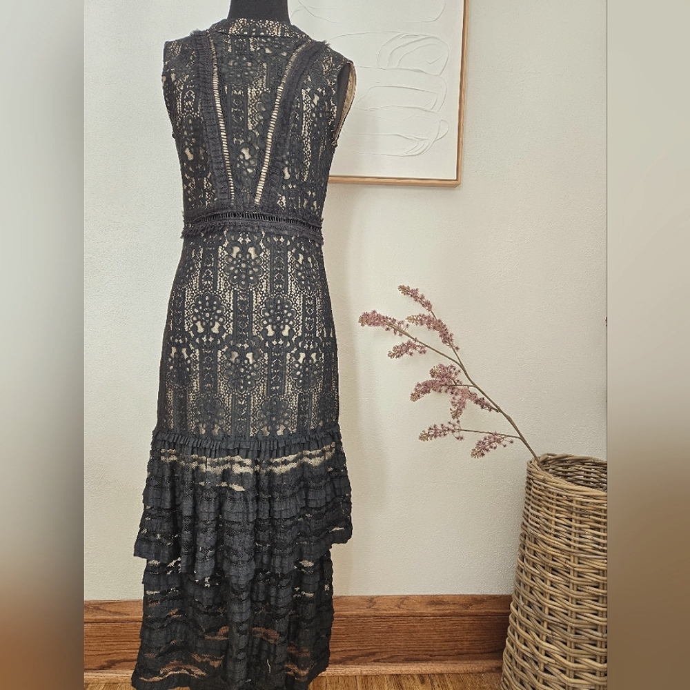 NWT Gorgeous Lace Detail Dress